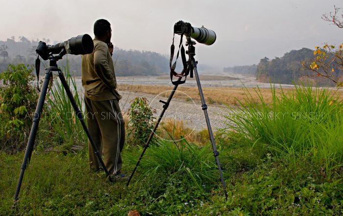 wildlife photography india