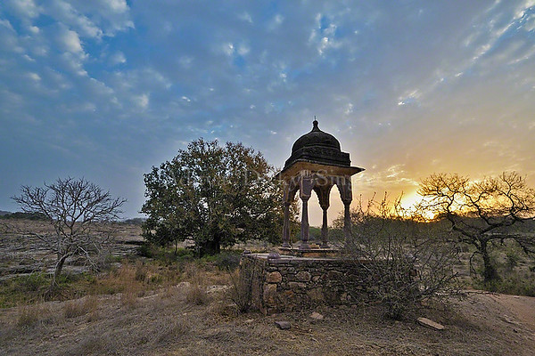 A chattri or Hindu Temple in Rajasthan’s Ranthambore tiger reserve