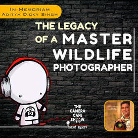 The Legacy of a Master Wildlife Photographer - Podcast